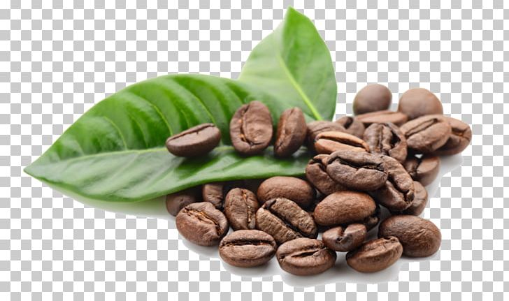 Single-origin Coffee Cafe Espresso Coffee Bean PNG, Clipart, Arabica Coffee, Bean, Cafe, Cocoa Bean, Coffea Free PNG Download