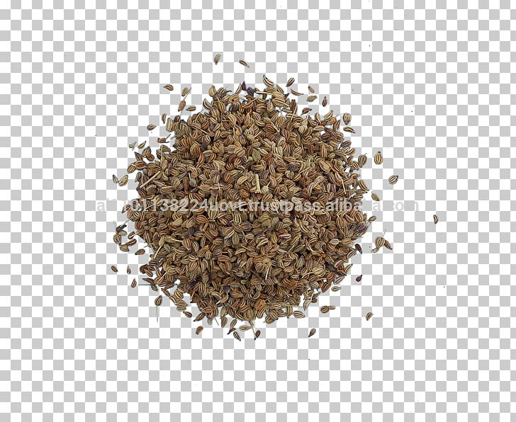 Ajwain Spice Bratwurst Ingredient Herb PNG, Clipart, Ajwain, Bratwurst, Commodity, Cumin, Curry Free PNG Download