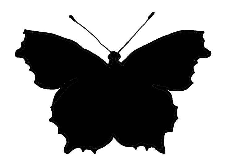 Butterfly Silhouette Drawing PNG, Clipart, Art, Black And White, Black Butterfly, Brush Footed Butterfly, Butterfly Free PNG Download