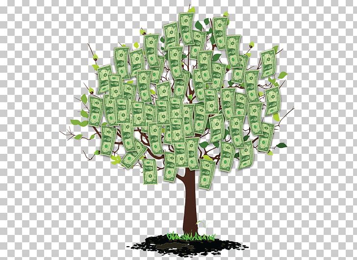 Money Wealth Finance Tree Plant PNG, Clipart, Cash Flow, Demand, Finance, Grass, Green Free PNG Download