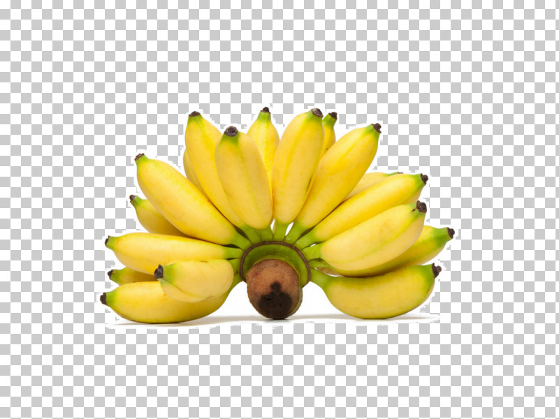 Banana Family Banana Yellow Fruit Plant PNG, Clipart, Banana, Banana Family, Cooking Plantain, Flower, Food Free PNG Download