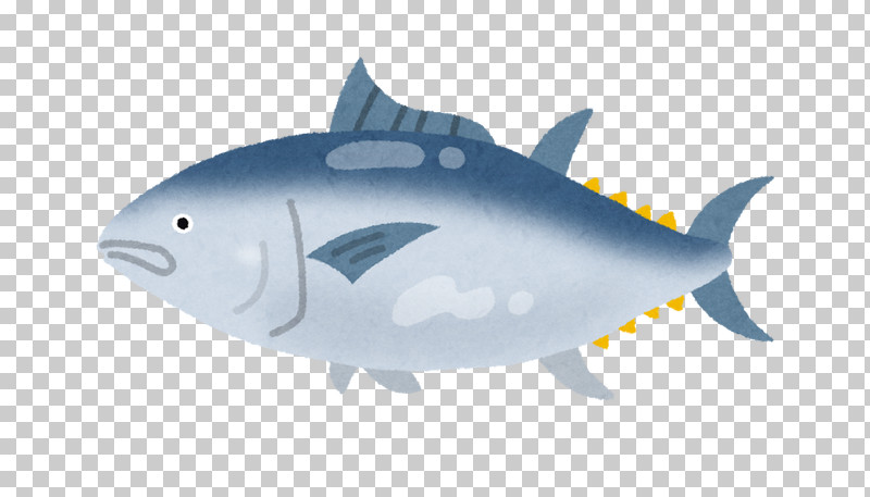 Fish Fish Fin Albacore Fish Thunnus PNG, Clipart, Albacore Fish, Atlantic Bluefin Tuna, Bonyfish, Fin, Fish Free PNG Download