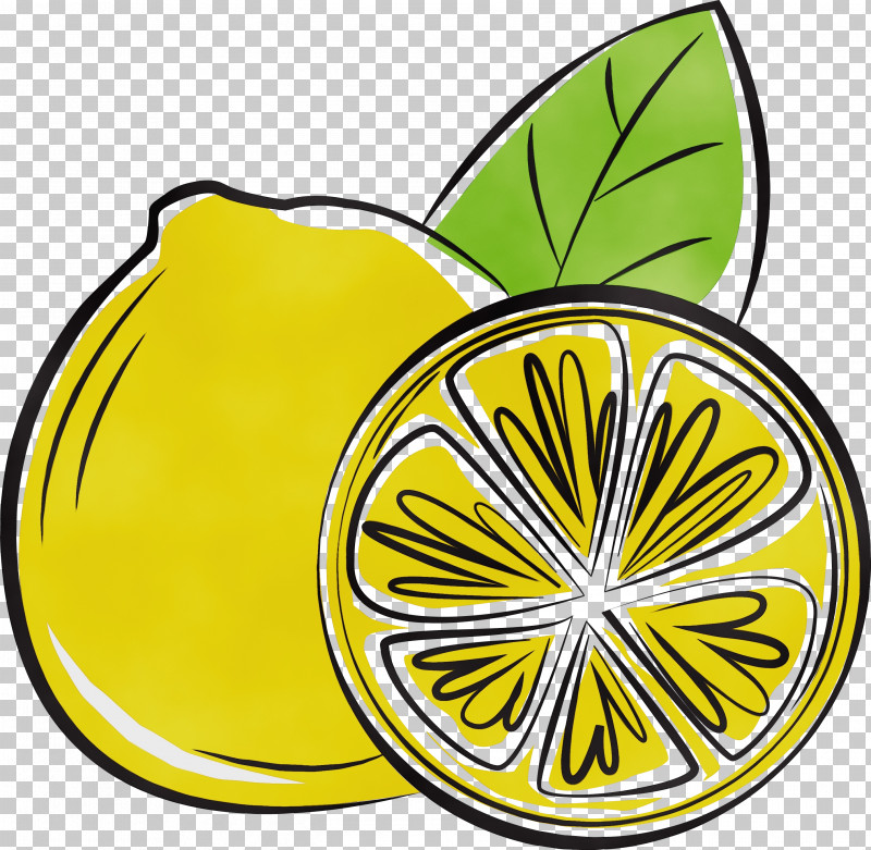 Flower Leaf Fruit Yellow M-tree PNG, Clipart, Area, Biology, Flower, Fruit, Leaf Free PNG Download