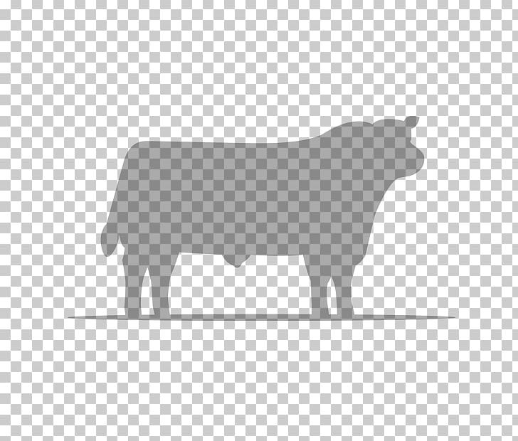Angus Cattle Holstein Friesian Cattle Bull Ox Aberdeen PNG, Clipart, Aberdeen, Angus Cattle, Beef, Black, Black And White Free PNG Download