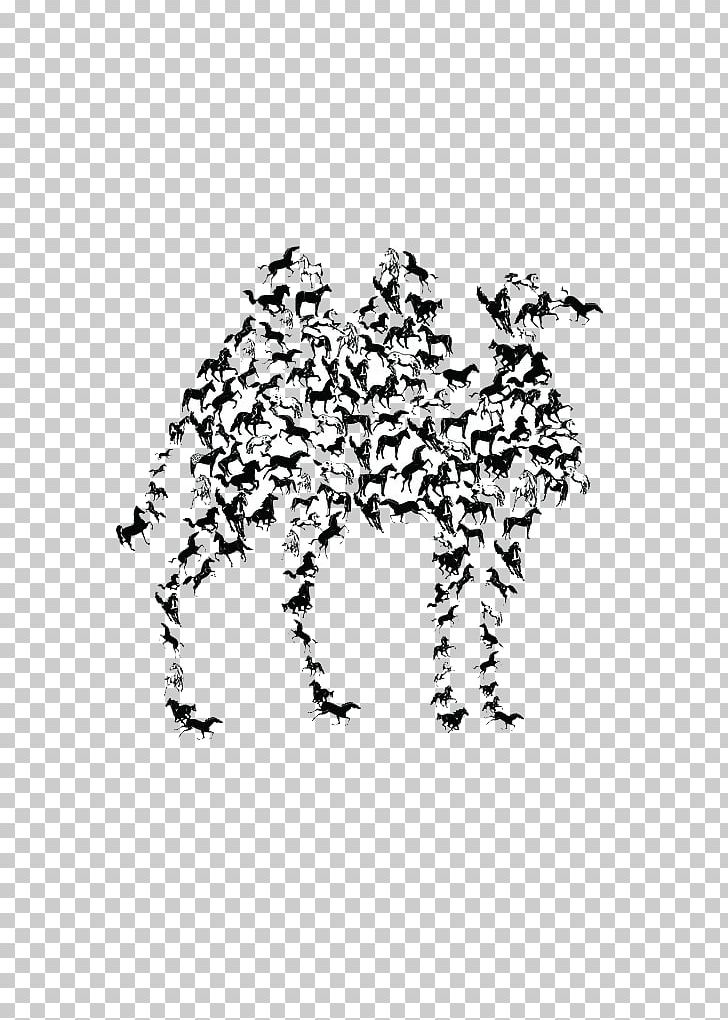 Black And White Poster PNG, Clipart, Animals, Area, Black, Black And White, Camel Free PNG Download