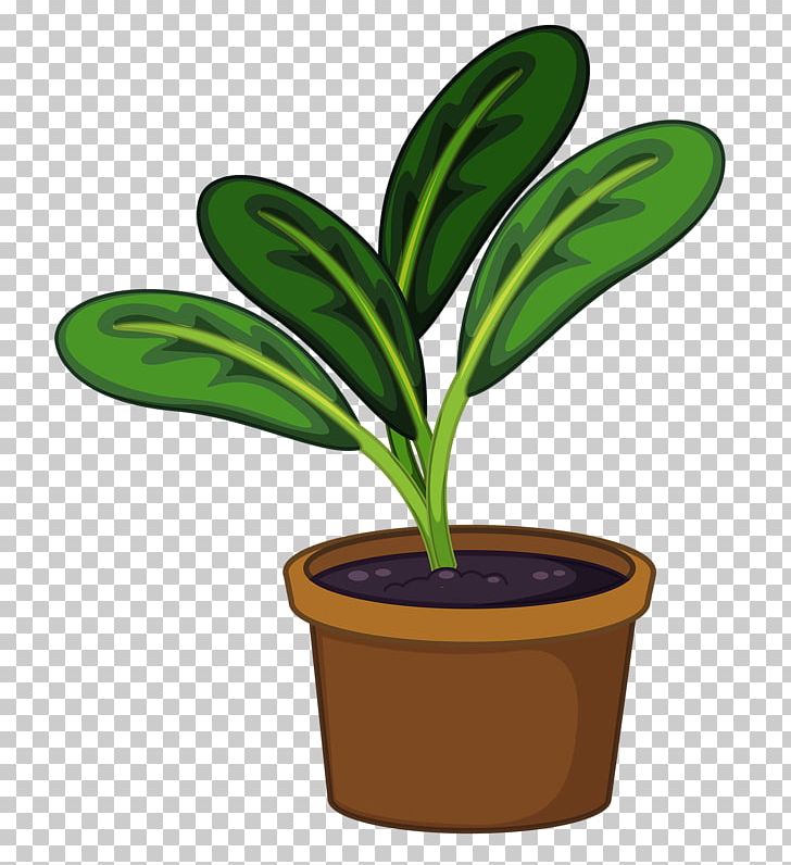 Flowerpot Houseplant PNG, Clipart, Clip Art, Flower, Flowering Plant, Flowerpot, Flower Pot Free PNG Download