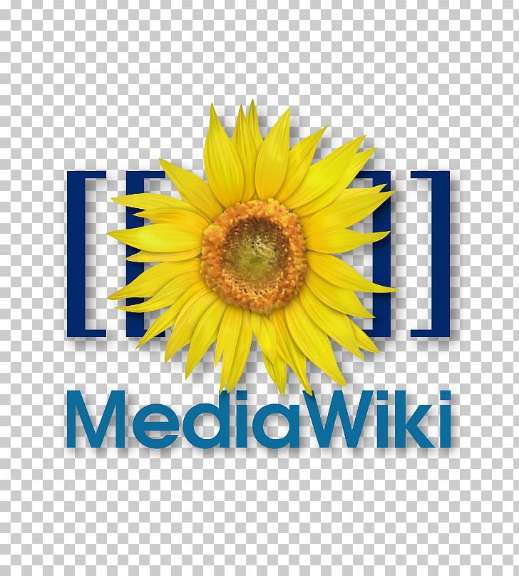 MediaWiki Wiki Software Computer Software PNG, Clipart, Avisynth, Computer Software, Cut Flowers, Daisy Family, Docker Free PNG Download