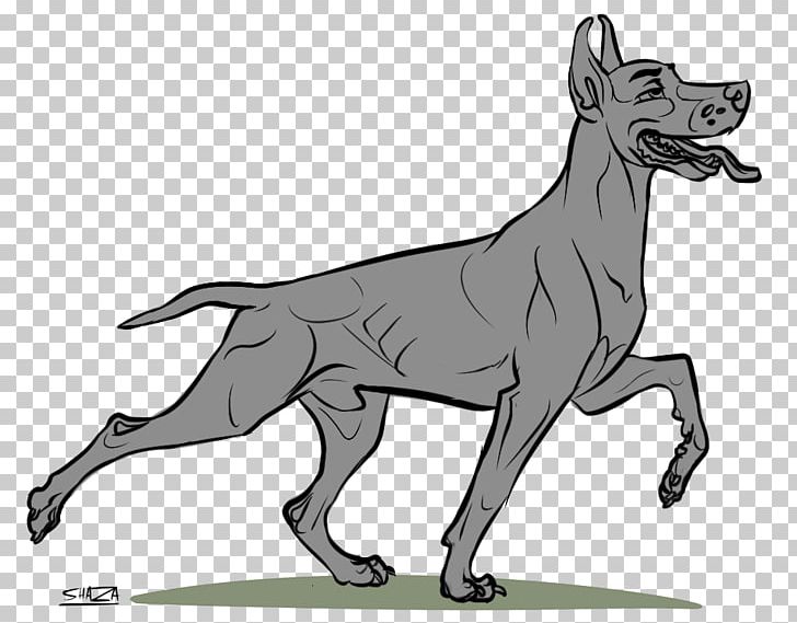 Dobermann German Pinscher Miniature Pinscher Line Art Pit Bull PNG, Clipart, Animal, Art, Black And White, Canidae, Carnivoran Free PNG Download