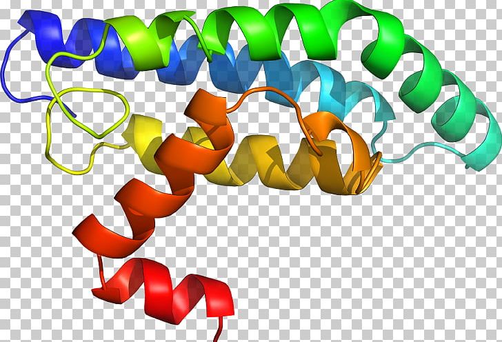 Line Product Orange S.A. Reverse Transcriptase PNG, Clipart, Line, Orange Sa, Reverse Transcriptase, Schistosoma Haematobium, Text Free PNG Download