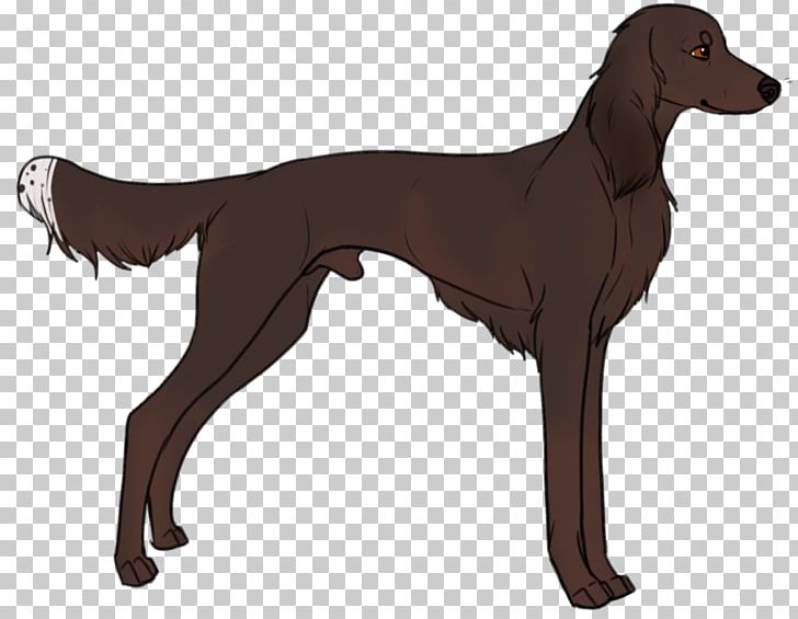 Longdog Saluki Dog Breed Sporting Group Mammal PNG, Clipart, Animal, Breed, Brown, Canidae, Carnivora Free PNG Download
