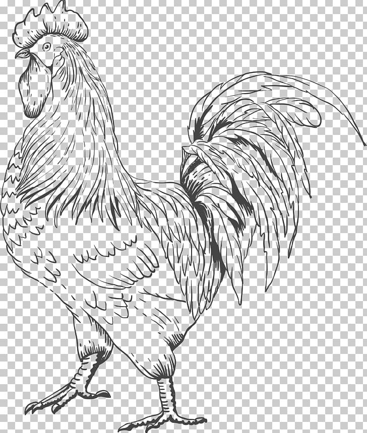 Rooster Chicken Sardinian Donkey Farm PNG, Clipart, Adobe Illustrator, Animals, Art, Artwork, Beak Free PNG Download