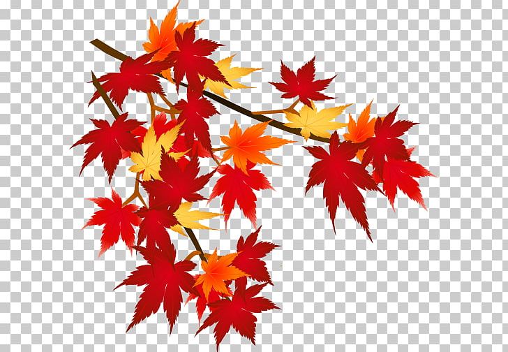 Autumn Leaf Color Mount Akagi Season PNG, Clipart, Atmospheric Temperature, Autumn, Autumn Leaf Color, Festival, Flowering Plant Free PNG Download