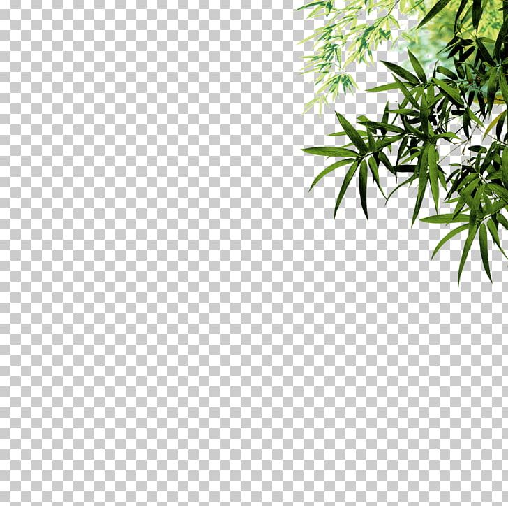 Bamboo Leaf Ink Icon PNG, Clipart, Angle, Background Green, Bamboo, Bamboo Leaves, Bamboo Painting Free PNG Download
