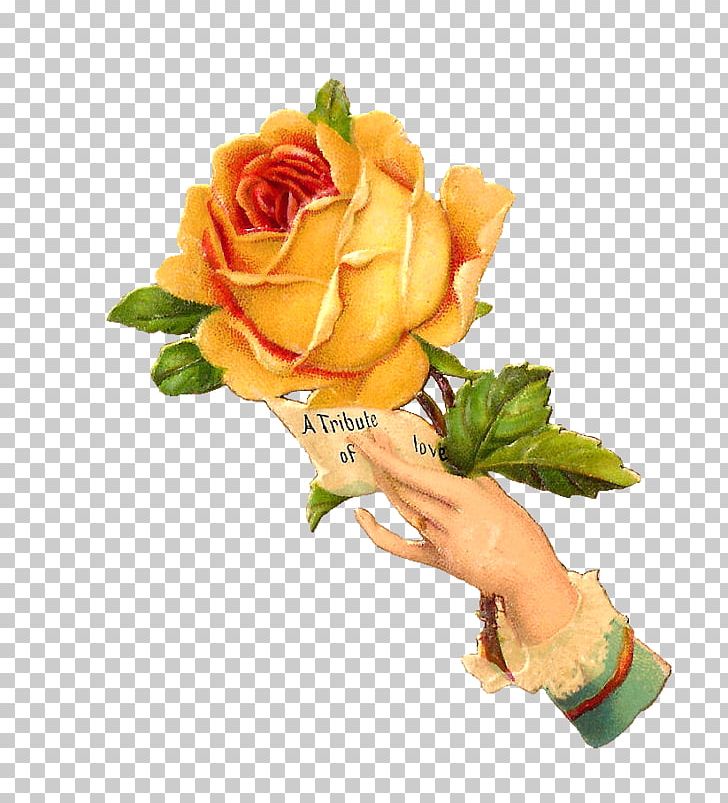 Flower Rose Vintage Clothing PNG, Clipart, Antique, Cut Flowers, Floral Design, Floristry, Flower Free PNG Download