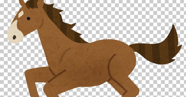 Thoroughbred Equestrian Sport Saddle Canter And Gallop PNG, Clipart, Canter And Gallop, Carnivoran, Chestnut, Cheval De Course, Colt Free PNG Download