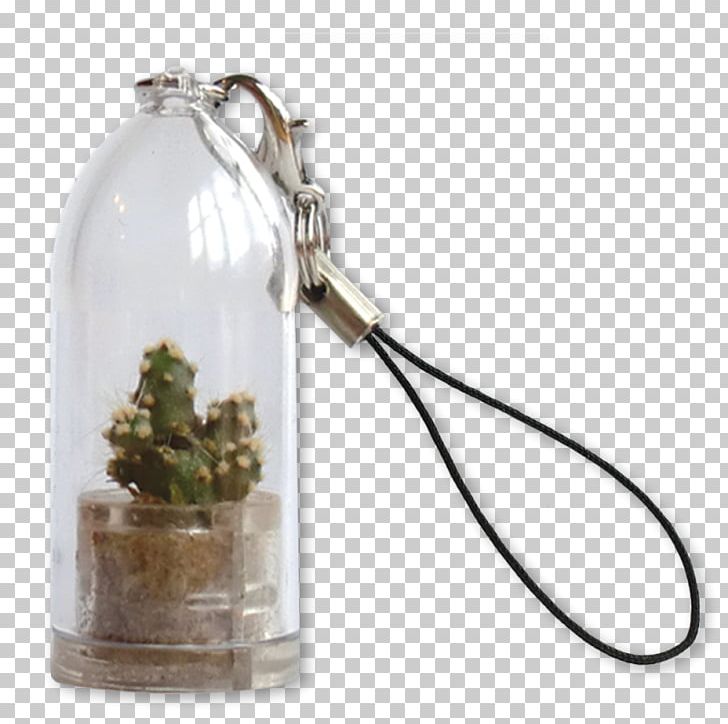 Cacti And Succulents Key Chains Cactus Succulent Plant Plants PNG, Clipart, Cacti And Succulents, Cactus, Chain, Clothing Accessories, Drinkware Free PNG Download