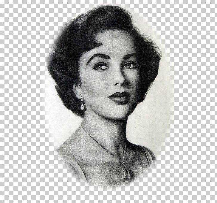 Elizabeth Taylor Drawing Celebrity Doll Actor PNG, Clipart, Artwork, Beauty, Black And White, Black Hair, Brown Hair Free PNG Download