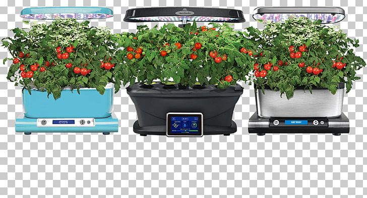 Growing Tomatoes Gardening Hydroponics PNG, Clipart, Agriculture, Aquaponics, Back Garden, Flowerpot, Garden Free PNG Download