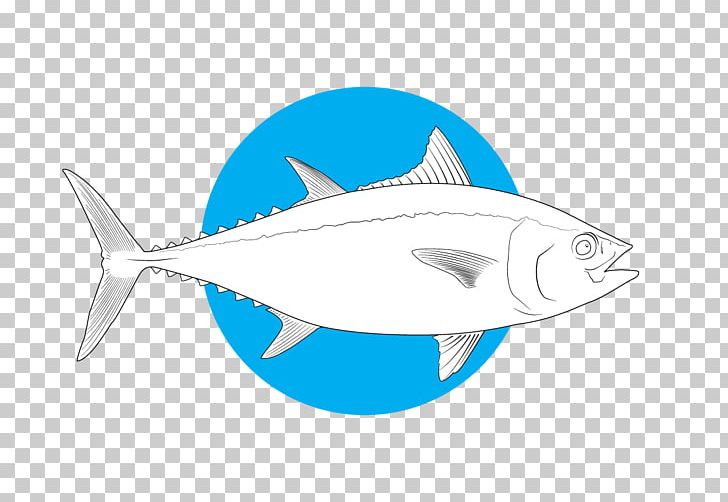 Shark Bony Fishes Marine Biology Salt Water Sportsman PNG, Clipart, Animals, Atlantic Bluefin Tuna, Bony Fish, Bony Fishes, Cartilaginous Fish Free PNG Download
