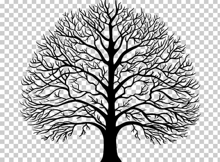 Tree Stencil PNG, Clipart, Autocad Dxf, Black And White, Branch, Encapsulated Postscript, Flower Free PNG Download