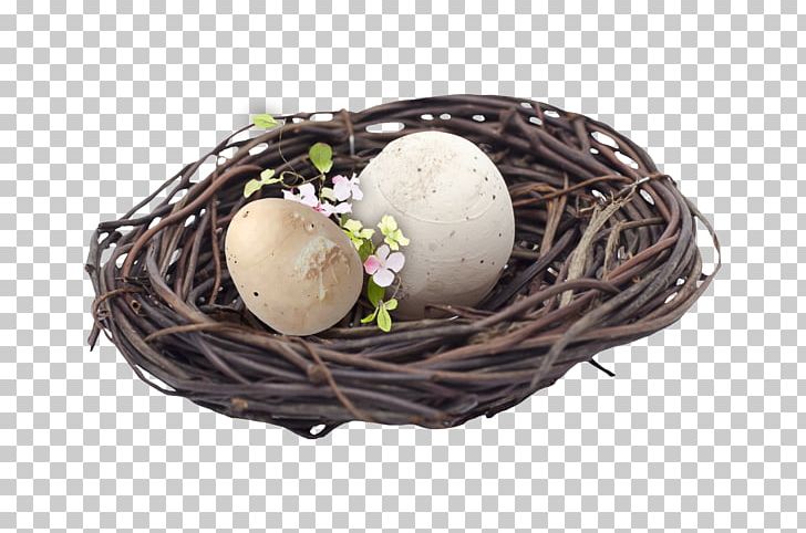 Bird Nest Egg Easter PNG, Clipart, Animals, Basket, Bird, Bird Nest, Bird Nest Vector Free PNG Download
