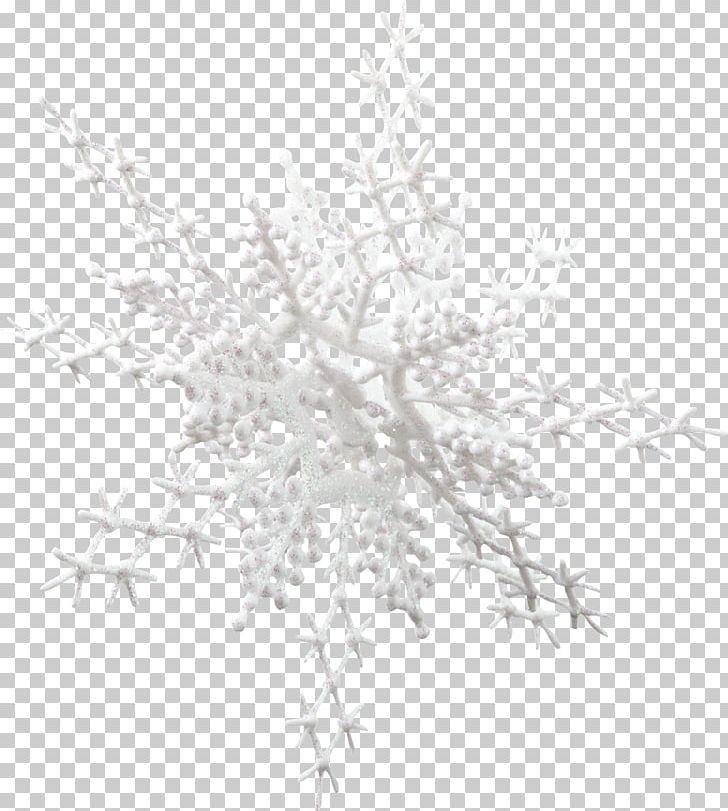 Snowflake Christmas Kholm PNG, Clipart, Black And White, Branch, Christmas, Christmas Ornament, Idea Free PNG Download