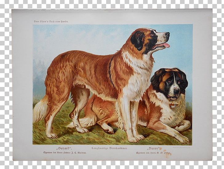 St. Bernard Puppy The Illustrated Book Of The Dog Poster Printing PNG, Clipart, Animals, Antique, Art, Bernard, Breed Free PNG Download
