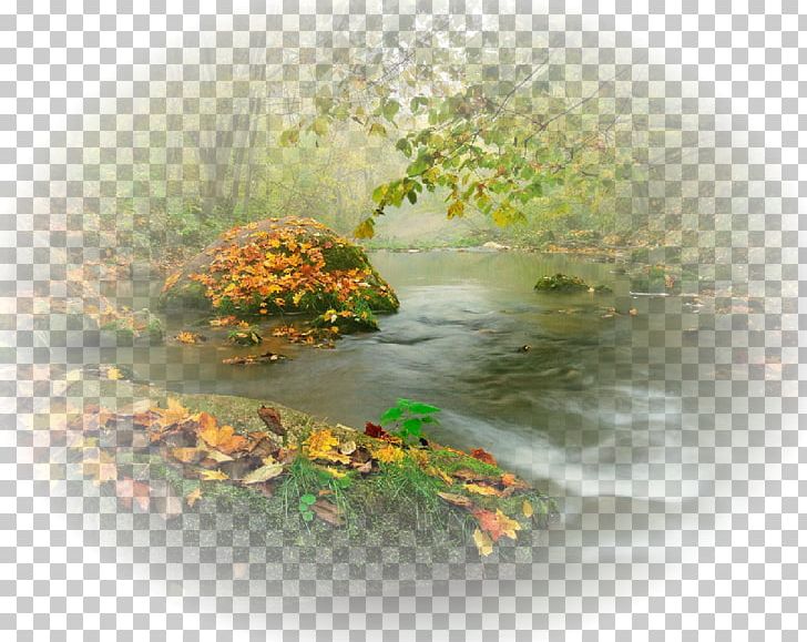 Water PNG, Clipart, Nature, Water Free PNG Download