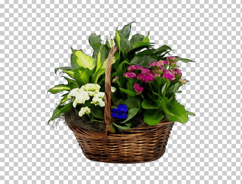 Floral Design PNG, Clipart, Annual Plant, Basket, Cut Flowers, Family, Floral Design Free PNG Download