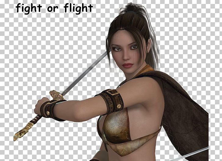 The Woman Warrior PNG, Clipart, Arm, Black Hair, Brown Hair, Cold Weapon, Desktop Wallpaper Free PNG Download