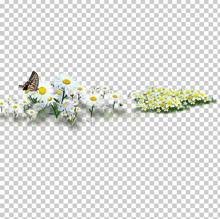 Common Sunflower Common Daisy PNG, Clipart, Angle, Art, Background, Christmas Decoration, Common Daisy Free PNG Download