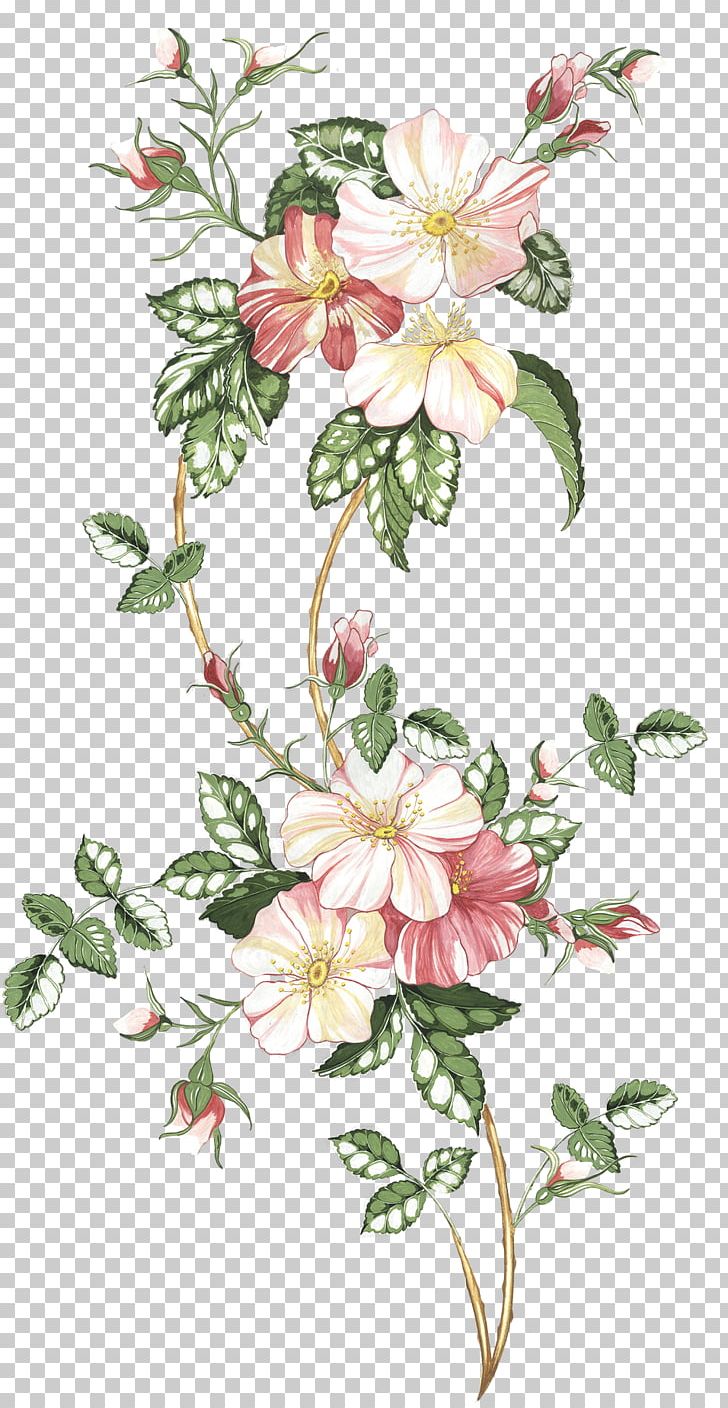 Floral Design Drawing Watercolor Painting Flower Sketch PNG, Clipart, Art, Branch, Canvas, Centifolia Roses, Cut Flowers Free PNG Download