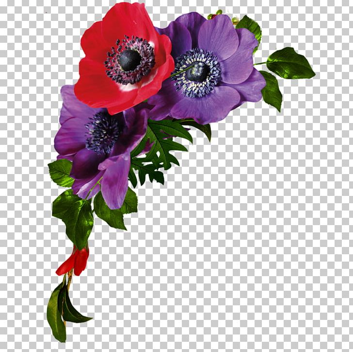 Floral Design Flower PNG, Clipart, Anemone, Annual Plant, Deco, Digital Image, Floral Design Free PNG Download