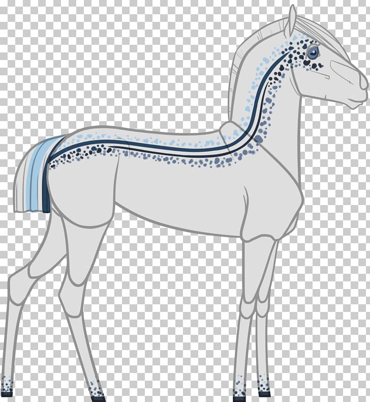 Mule Foal Halter Stallion Colt PNG, Clipart,  Free PNG Download