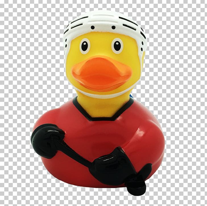 Rubber Duck Ice Hockey Domestic Duck PNG, Clipart, Amazonetta, Animals, Beak, Bird, Domestic Duck Free PNG Download