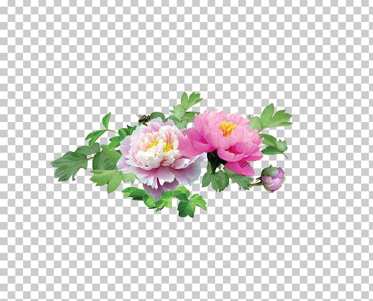 Tea Flower Glass Rose Bottle PNG, Clipart, Annual Plant, Artificial Flower, Chrysanthemum Chrysanthemum, Chrysanthemums, Flowe Free PNG Download