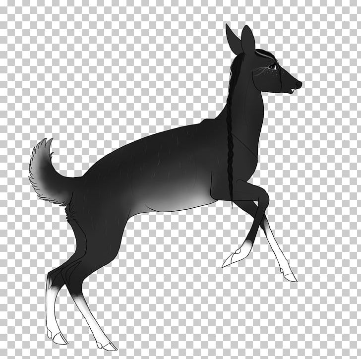 Italian Greyhound Dog Breed Horse Macropodidae PNG, Clipart, Animals, Black, Black And White, Breed, Carnivoran Free PNG Download