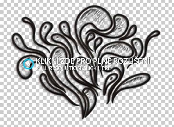 /m/02csf Visual Arts Drawing Ornament Pattern PNG, Clipart, Art, Black And White, Blog, Drawing, Heart Free PNG Download