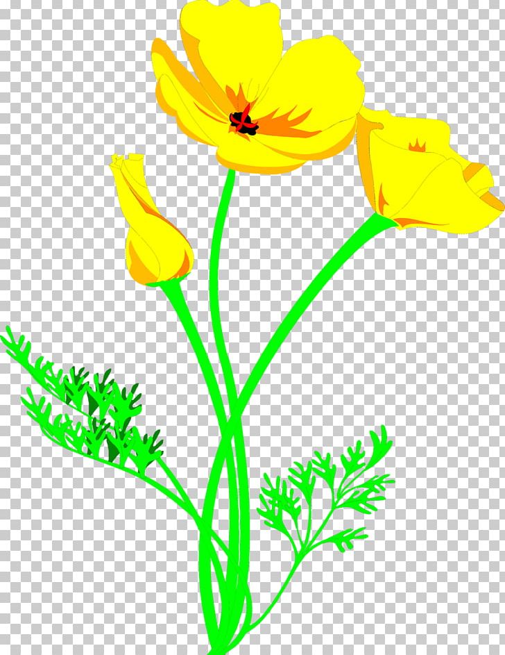 Plant CorelDRAW Yellow Color PNG, Clipart, Annual Plant, Artwork, Black And White, Broadleaf Arrowhead, California Poppy Free PNG Download