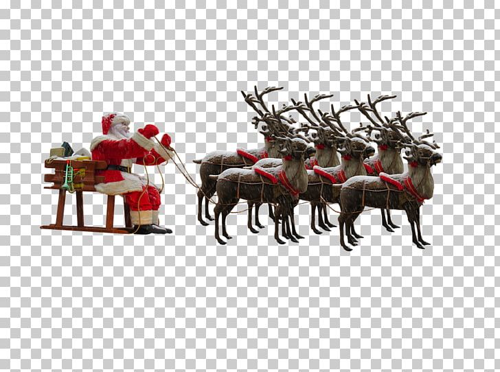 Santa Claus Reindeer Christmas PNG, Clipart, Antler, Christmas, Christmas Deer, Christmas Ornament, Deer Free PNG Download