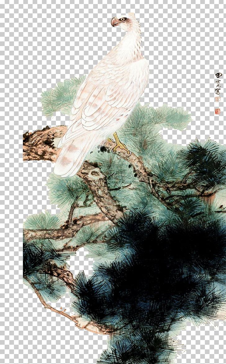 U5de5u7b14u82b1u9e1fu753b Bird-and-flower Painting Chinese Painting Illustration PNG, Clipart, Animals, Bald Eagle, Beak, Bird, Birdandflower Painting Free PNG Download