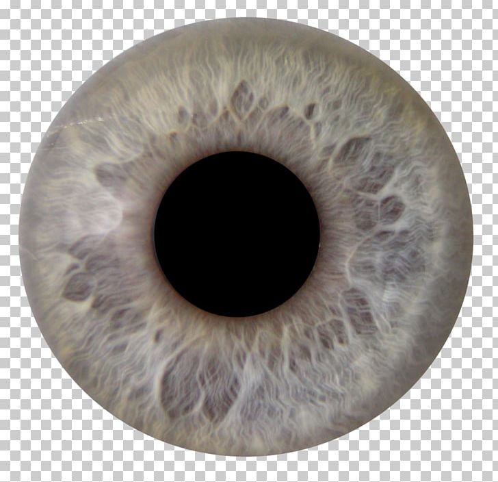 Human Eye Iris Pupil Eye Color PNG, Clipart, Anatomy, Circle, Closeup, Color, Description Free PNG Download