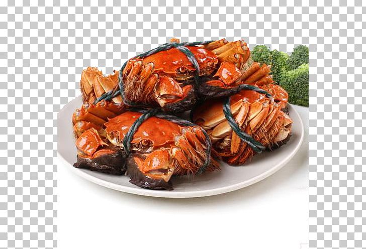 Yangcheng Lake Crab Seafood Lobster Prawn PNG, Clipart, Animal Source Foods, Broccoli, Cartoon Crab, Chinese Mitten Crab, Crab Cartoon Free PNG Download