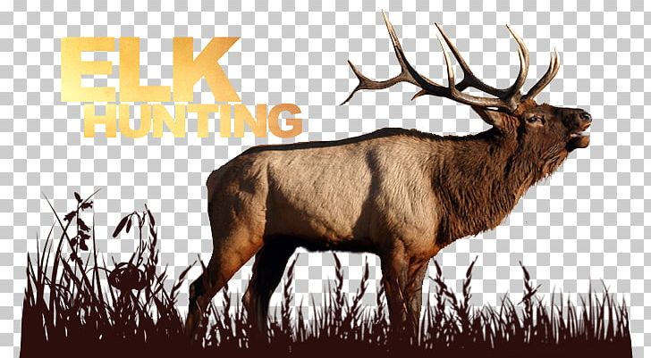 Elk Deer Hunting Wildlife Deer Hunting PNG, Clipart,  Free PNG Download