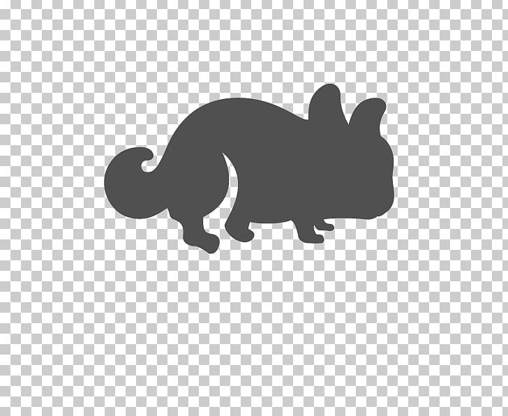 Cat Guinea Pig Gerbil Rodent Hamster PNG, Clipart, Adoption, Animals, Black, Black And White, Canidae Free PNG Download