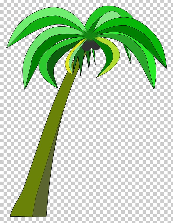 Coconut Arecaceae PNG, Clipart, Arecaceae, Arecales, Coconut, Computer Icons, Desktop Wallpaper Free PNG Download