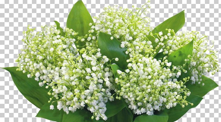 Lily Of The Valley Desktop Flower Theme PNG, Clipart, Blog, Computer, Computer Monitors, Desktop Environment, Desktop Wallpaper Free PNG Download