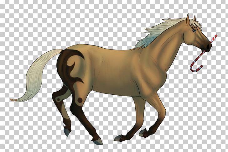 Mane Foal Stallion Mare Mustang PNG, Clipart,  Free PNG Download