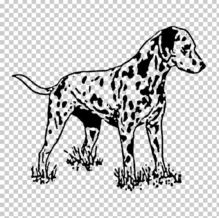 Dalmatian Dog Rubber Stamp Postage Stamps Plastic PNG, Clipart, Animal, Art, Black And White, Canidae, Carnivoran Free PNG Download