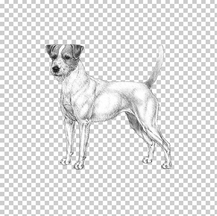 Dog Breed Companion Dog Paw PNG, Clipart, Animals, Black And White, Breed, Carnivoran, Companion Dog Free PNG Download